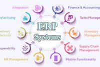 ERP Systems