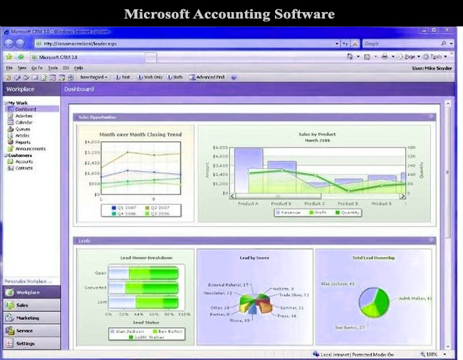 Microsoft Accounting Software