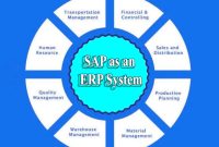 SAP as an ERP System